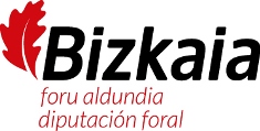 Bizkaiko Foru Alundia